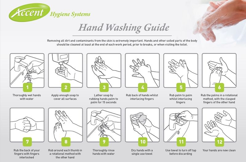 VERIDIA Hand Wash Poster