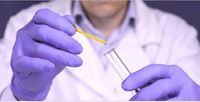 Nitrile Gloves