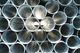 Galvanised Pipe