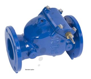 Single Check Valves