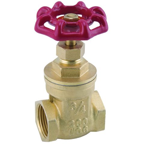 Untested Brass Gate Valves