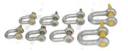 D-Shackles