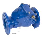 Flange Swing Check Valves