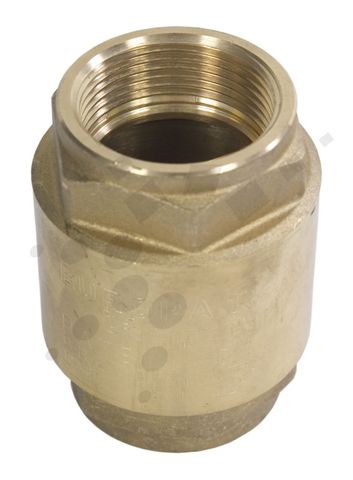 Spring Check Valves