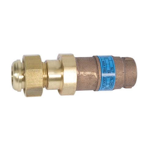 NSW Meter Thread Dual Check Valves