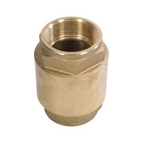 Spring Check Valves