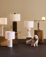 The Bright Spark In Timeless Interiors