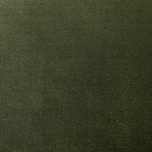 Elegance Upholstery Swatch - Moss Velvet