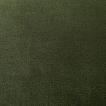 Elegance Upholstery Swatch - Moss Velvet