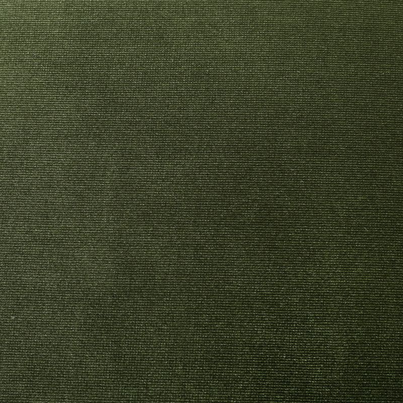 Elegance Upholstery Swatch - Moss Velvet
