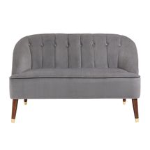Reyne 2 Seater Sofa - Grey Velvet