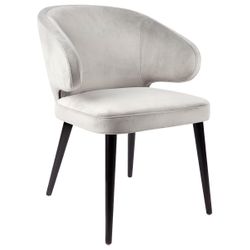 Classic Upholstery Swatch - Grey Velvet