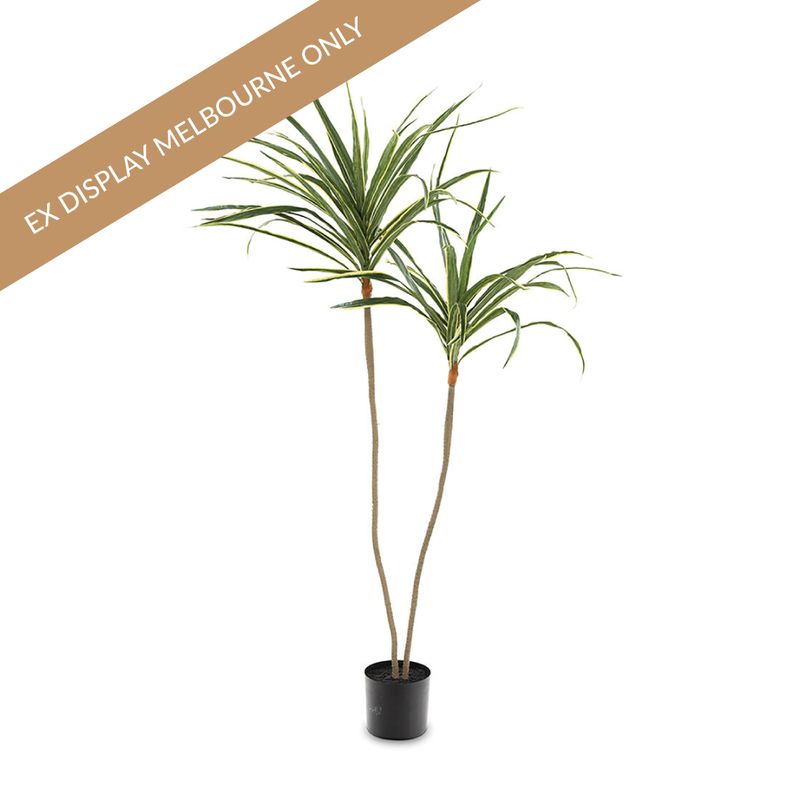 Draceana Artificial Plant - 106cm - Min buy of 2 - OUTLET VIC