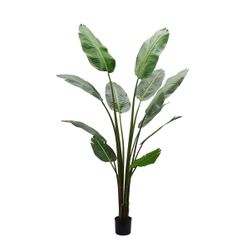 Strelitzia Artificial Tree -180cm - OUTLET VIC