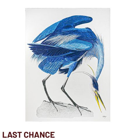 Birds of a Feather Series I Enhanced Canvas Print