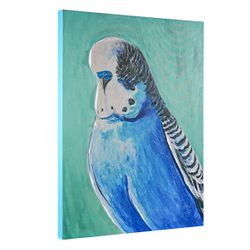 Blue Budgie Enhanced Canvas Print