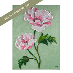 White Poppy Enhanced Canvas Print - OUTLET NSW