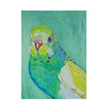 Green Budgie Enhanced Canvas Print