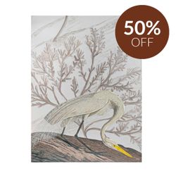Take Flight Series I Enhanced Canvas Print