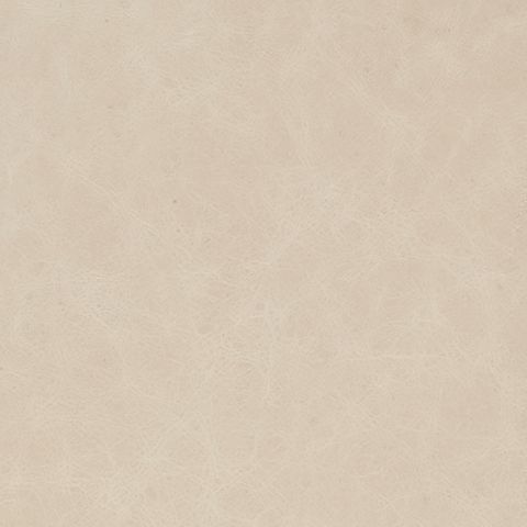 Cappuccino Upholstery Swatch - Cream