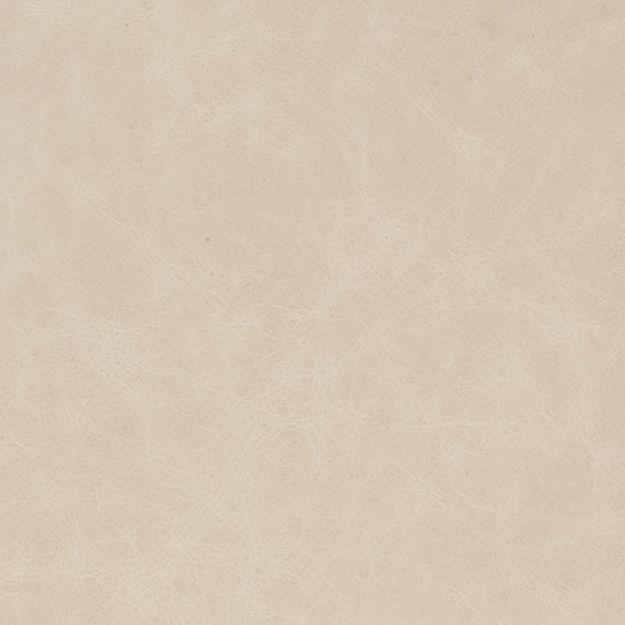 Cappuccino Upholstery Swatch - Cream