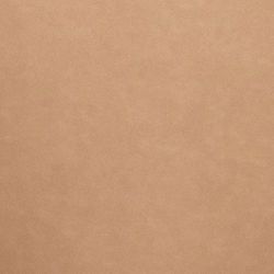 Leatherette Upholstery Swatch - Tan
