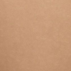 Leatherette Upholstery Swatch - Tan