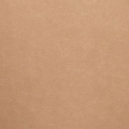 Leatherette Upholstery Swatch - Tan