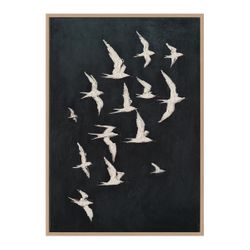 Midnight Wing Canvas Painting