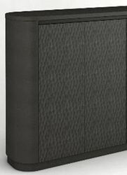 Mikki 2 Door Cabinet - Black - OUTLET NSW