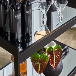 Fenton Mirrored Bar Cart - Black