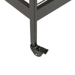 Fenton Mirrored Bar Cart - Black