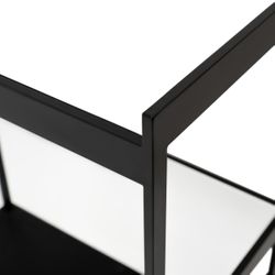 Fenton Mirrored Bar Cart - Black