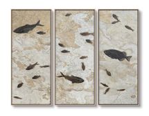 Fossilised Set of Three Oil On Canvas Painting - OUTLET NSW