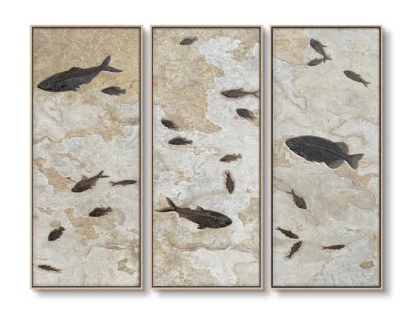 Fossilised Set of Three Oil On Canvas Painting - OUTLET NSW