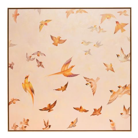 Fly By Oil On Canvas Painting