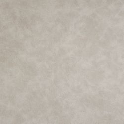 Barn Upholstery Swatch - Beige