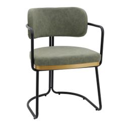 Barn Upholstery Swatch - Olive