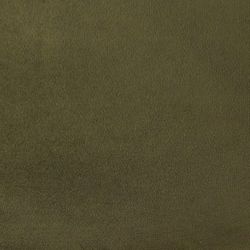 Rush Upholstery Swatch - Olive Green