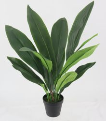 Aspidistra Faux Plant 60cm - OUTLET NSW