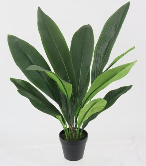 Aspidistra Faux Plant 60cm - OUTLET NSW