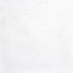 Snow White 145x145cm Canvas Painting - OUTLET NSW