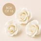 SINGLE ROSE MEDIUM WHITE | SUGAR FLOWERS | BOX OF 16