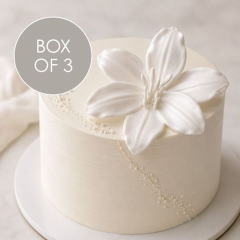 TIGER LILY EXTRA LARGE | SUGAR FLOWERS | BOX 3