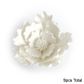 LARGE WHITE PEONY | SUGAR FLOWERS | BOX OF 9