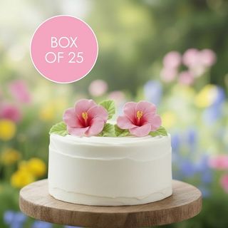 HIBISCUS PINK SMALL | SUGAR FLOWERS | BOX OF 25