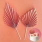 BABY PINK | DECO FAN TOPPER | 2 PC SET