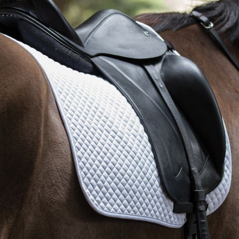 Dressage Saddle Pad - White