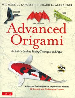 Advanced Origami