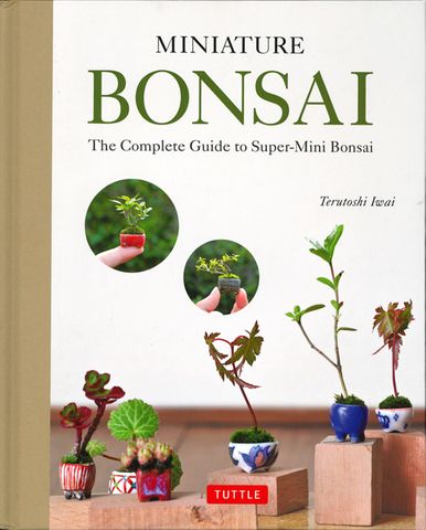 Miniature Bonsai